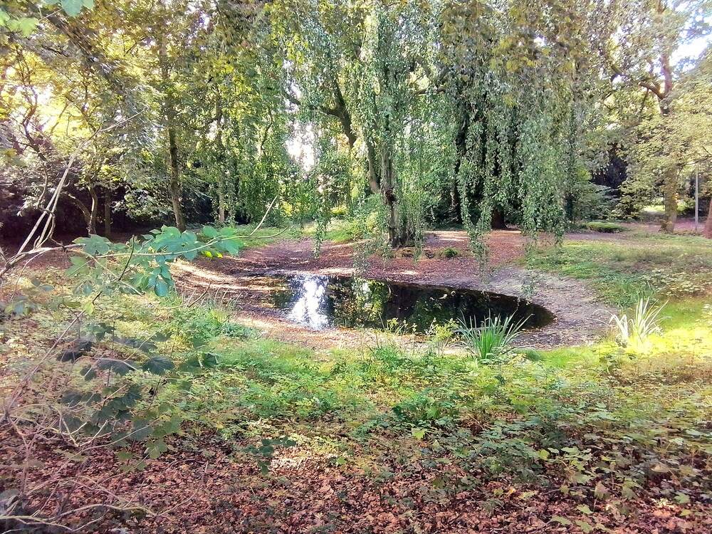 De vijver in het Hugespark in Assen