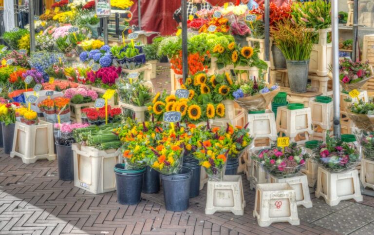 Kunstmarkt “Zicht 2026 — Braderie en jaarmarkt in Assen