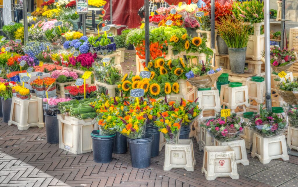 Kunstmarkt “Zicht
