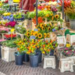 Kunstmarkt “Zicht